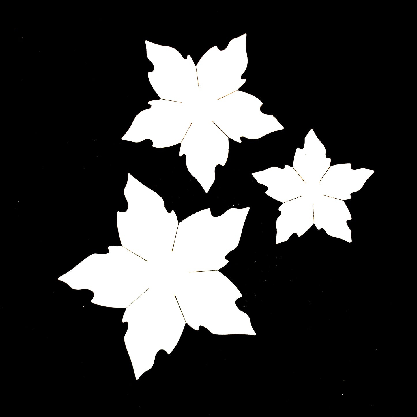Flower Cutout