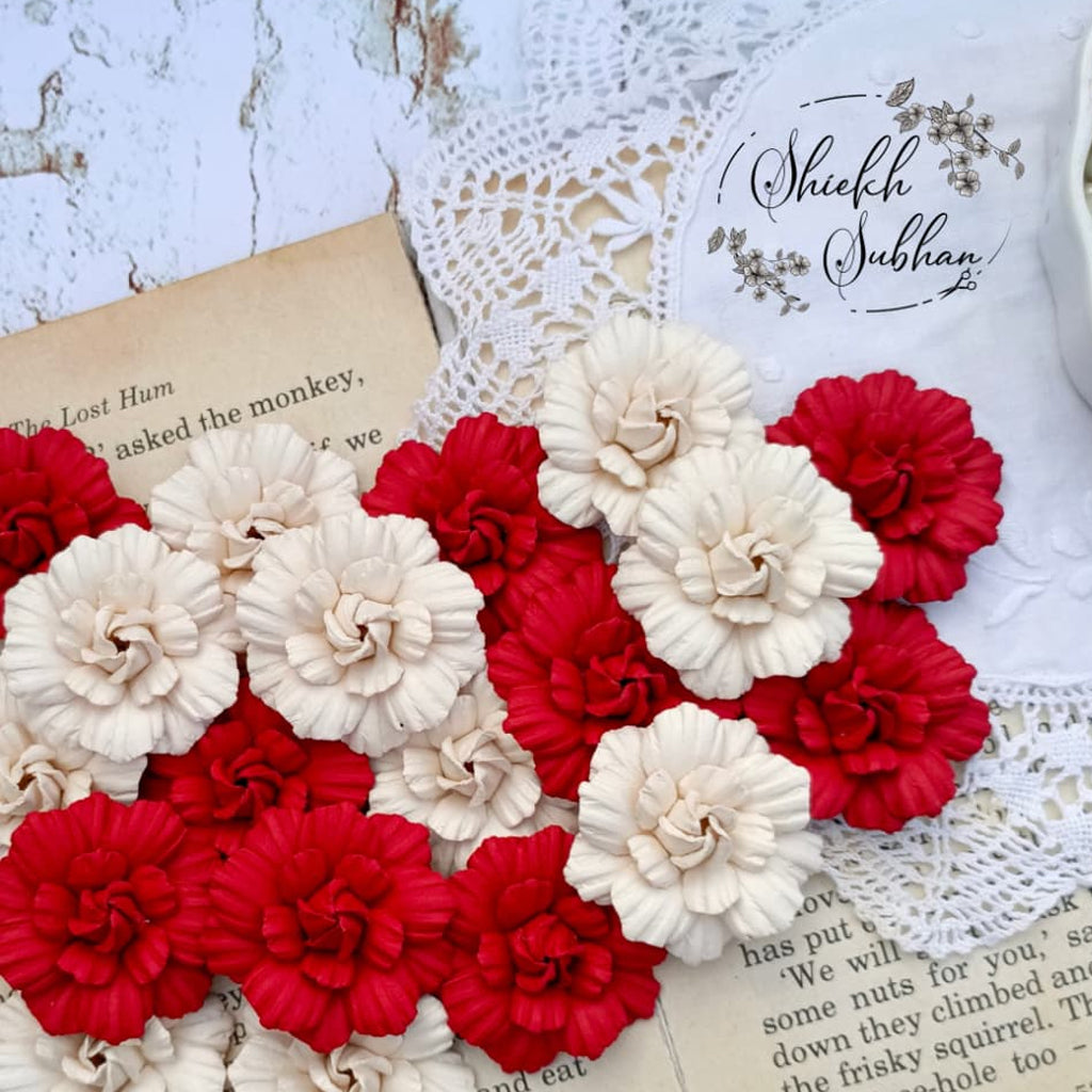 Mini Roses