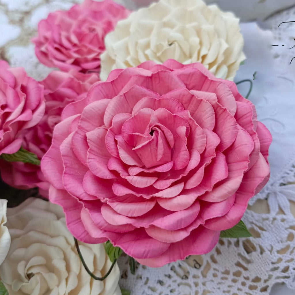 Large Roses