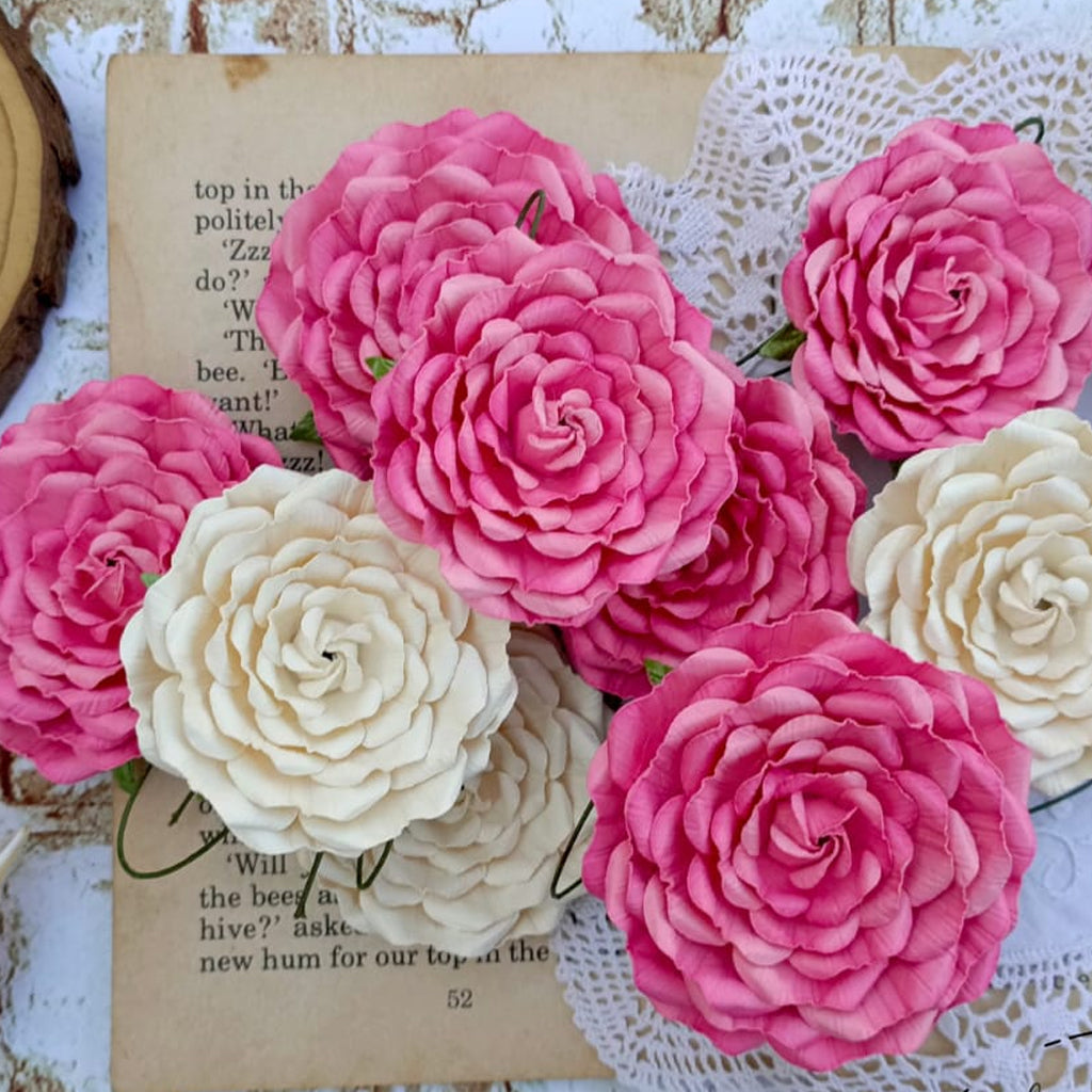 Large Roses