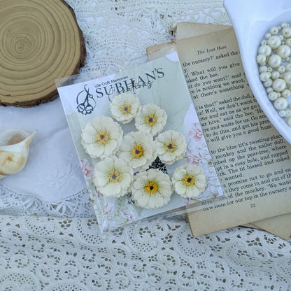 Handmade Paper flowers