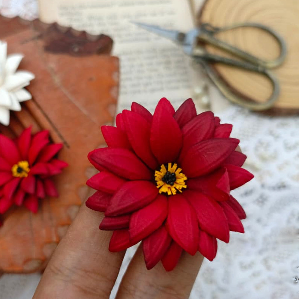 Daisy Blooms